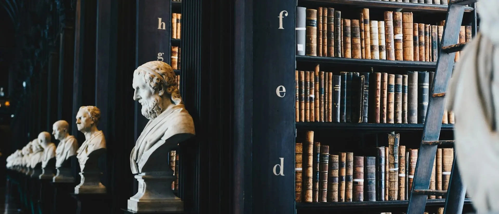 Biblioteca del despacho